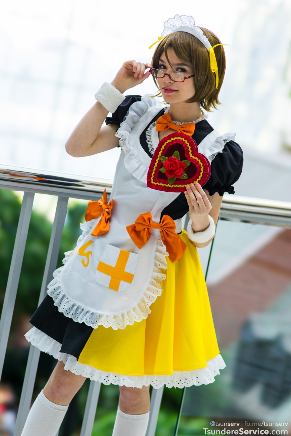 katsu2015-07607-planetrejection-ll-hanayo.jpg